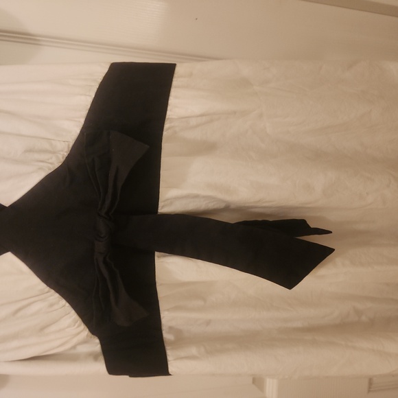 Torrid Embroidery and Toile Bottom Flutter Hemline Dress - Picture 3 of 8